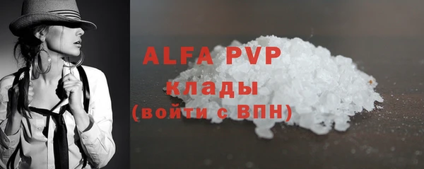 apvp Алексин