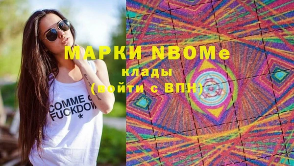 apvp Алексин
