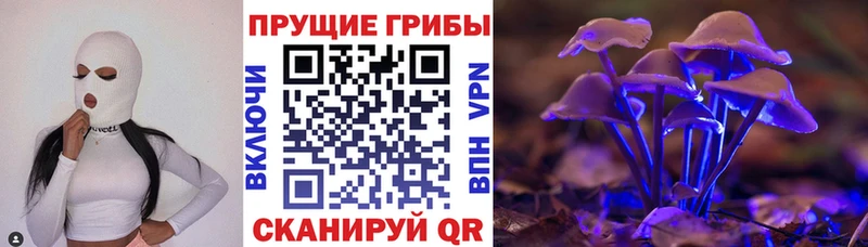 Псилоцибиновые грибы Psilocybe  хочу наркоту  Михайловск 