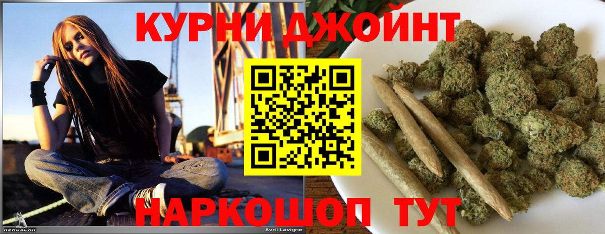 Канабис индика  Каннабис ГИДРОПОН  Каннабис тримм  Бошки Шишки план  Вход с VPN  Михайловск 